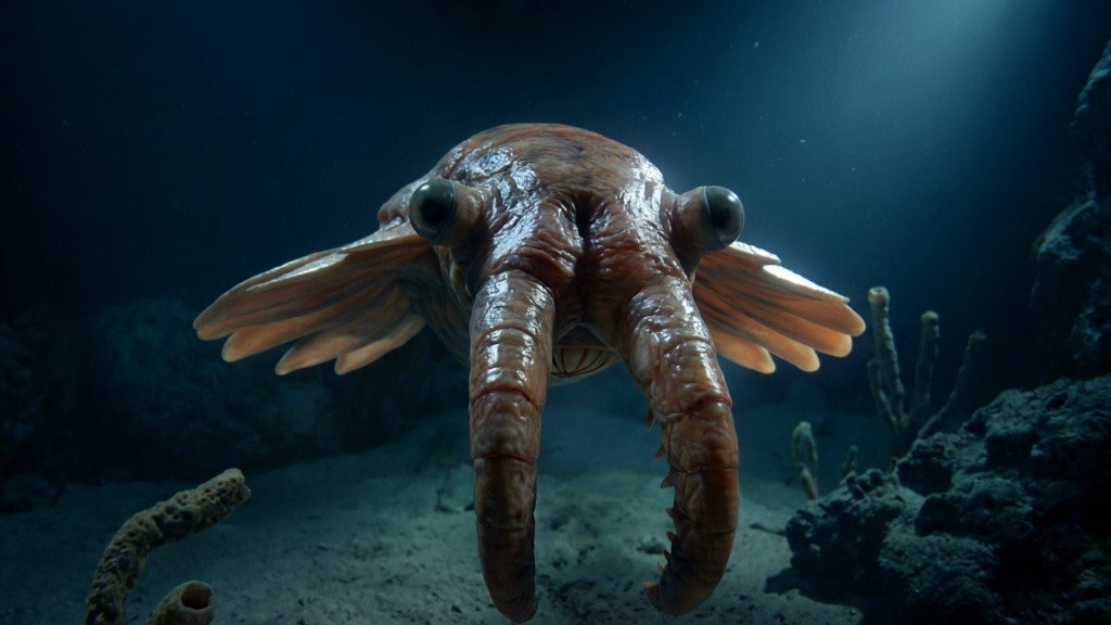 Subtle Silhouette of Ancient Predator swimming